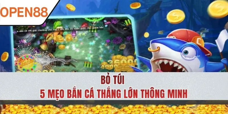 Bỏ túi 5 mẹo săn cá thông minh từ cao thủ chuyên nghiệp