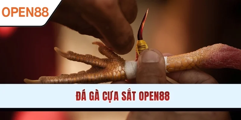 da-ga-cua-sat-open88